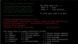 Nmon screenshot