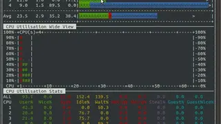 Nmon screenshot