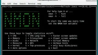 Nmon screenshot