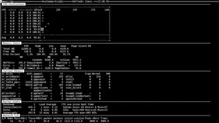 Nmon Nigels Performance Monitor screenshot