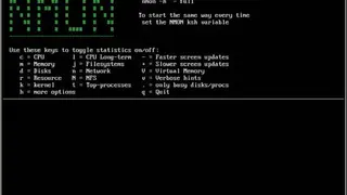 Nmon Nigels Performance Monitor screenshot