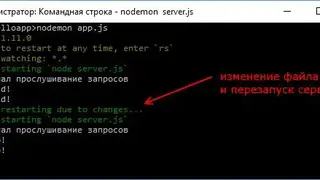 Nodemon screenshot