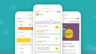 Noom Coach screenshot
