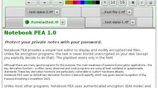 Notebook PEA screenshot