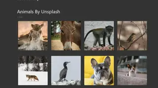 novaGallery screenshot