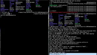 Novell Linux Kernel Debugger screenshot