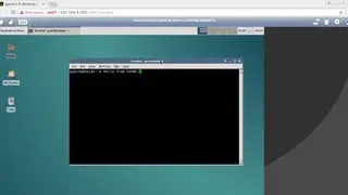 noVNC screenshot