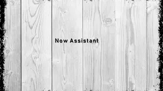 Now Assistant screenshot