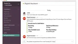 Now Assistant screenshot