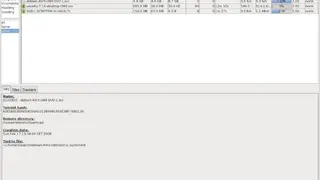 nTorrent screenshot