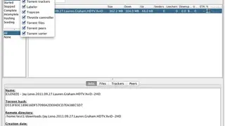 nTorrent screenshot