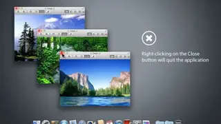 nulana.com Flexiglass screenshot
