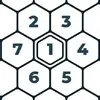 Number Mazes: Rikudo Puzzles