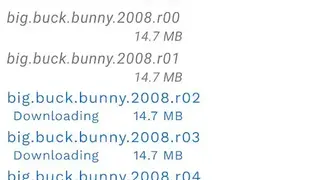 NZB Leech screenshot