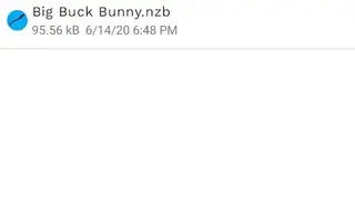 NZB Leech screenshot