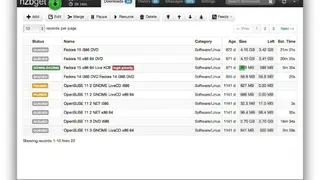 NZBGet screenshot