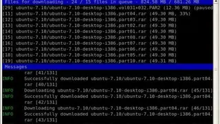 NZBGet screenshot