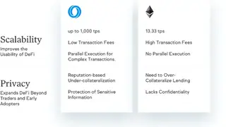 Oasis Network screenshot