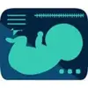 Obstetrics & Gyenacology Ultrasound Guide