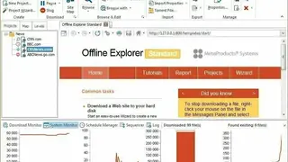 Offline Explorer screenshot