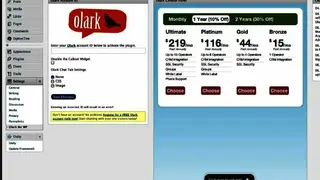 Olark screenshot