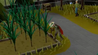Old School Runescape screenshot