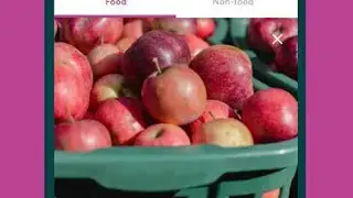 OLIO screenshot