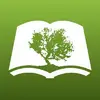 Olive Tree Bible Study