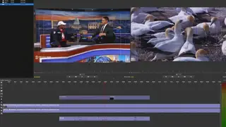 Olive Video Editor screenshot