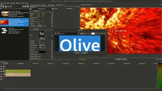Olive Video Editor screenshot