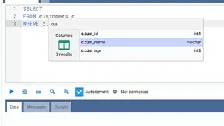OmniDB screenshot