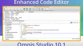 Omnis Studio screenshot