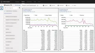Omniture screenshot