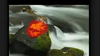 On1 Photo RAW screenshot