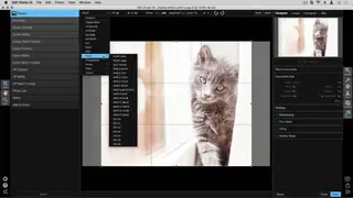 ON1 Resize screenshot