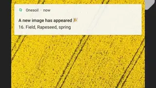 OneSoil Scouting screenshot