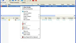 OneSwarm screenshot