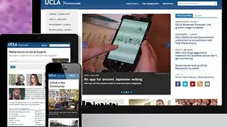 Online PR Software screenshot