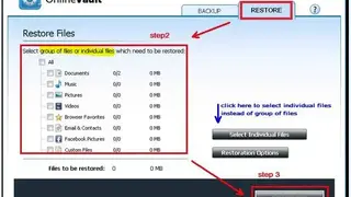 Online Vault Backup screenshot