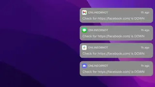 OnlineOrNot screenshot