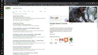 OnTopReplica screenshot