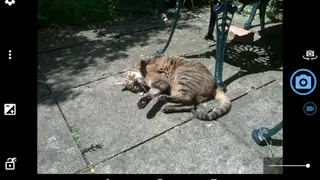 Open Camera App screenshot