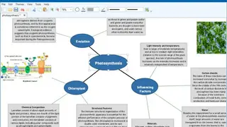 Open Mind Mapping screenshot