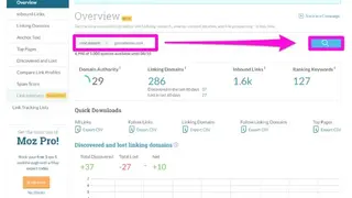 Open Site Explorer screenshot