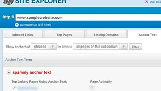 Open Site Explorer screenshot