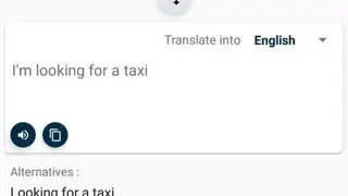 OpenL Translator screenshot