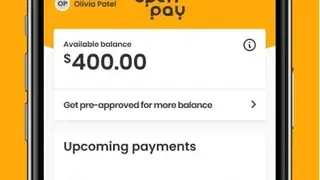 Openpay screenshot