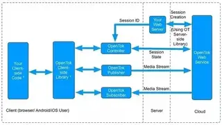 OpenTok screenshot