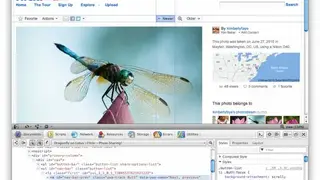 Opera Dragonfly screenshot