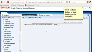 Oracle Adaptive Access Manager screenshot